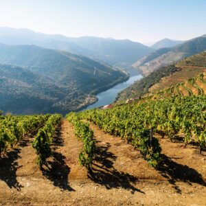 Douro Valley